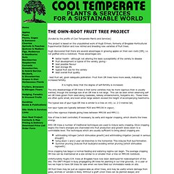 THE OWN-ROOT FRUIT TREE PROJECT