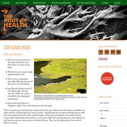 The Root of Health - Dysbiosis