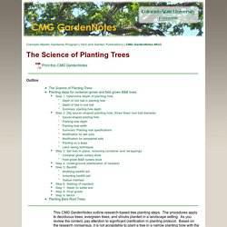 The Science of Planting Trees
