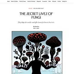 The Secret Lives of Fungi