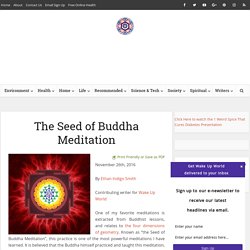 The Seed of Buddha Meditation