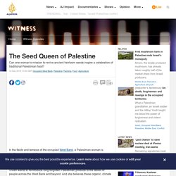 The Seed Queen of Palestine