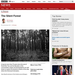 The Silent Forest