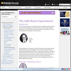 The Split Brain Experiments