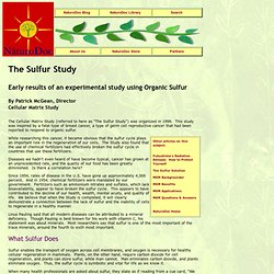 The Sulfur Study