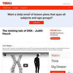 The twisting tale of DNA - Judith Hauck
