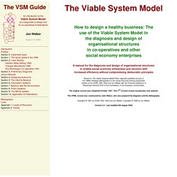 The Viable Systems Model Guide 3e