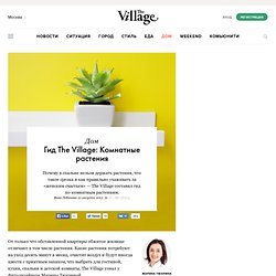 Гид The Village: Комнатные растения — The Village — The Village — поток «Дом»
