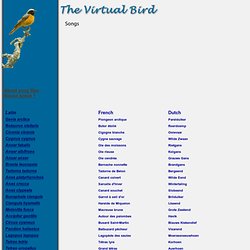 The Virtual Bird, Bird Songs