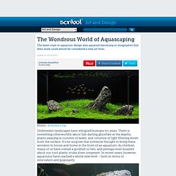 The Wondrous World of Aquascaping