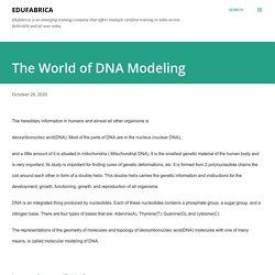 The World of DNA Modeling