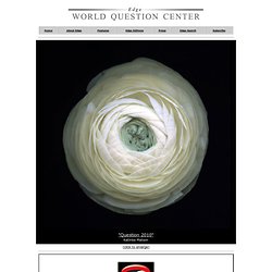 The World Question Center 2010