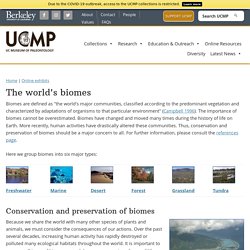The world's biomes