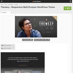Themesy - Responsive Multi-Purpose WordPress Theme