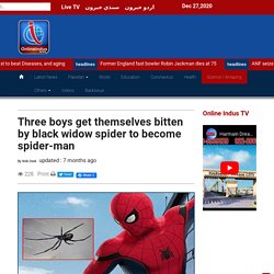 Three boys get themselves bitten by black widow spider to become spider-man