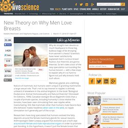 New Theory on Why Men Love Breasts