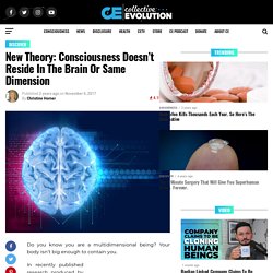 New Theory: Consciousness Doesn’t Reside In The Brain Or Same Dimension