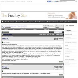 sick chicken - ThePoultrySite Discussion Forum