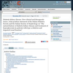 Diabetic kidney disease: New clinical and therapeutic issues. Joint position statement of the Italian Diabetes Society and the Italian Society of Nephrology on “The natural history of diabetic kidney disease and treatment of hyperglycemia in patients with