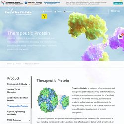 Therapeutic Protein