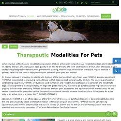Therapeutic laser modalities for the dog at a Cheap price