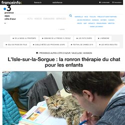 L'Isle-sur-la-Sorgue : la ronron thérapie du chat pour les enfants - France 3 Provence-Alpes-Côte d'Azur
