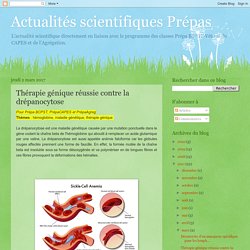 Actualités scientifiques Prépas : Thérapie génique réussie contre la drépanocytose