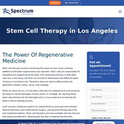 Looking For Stem Cell Therapy in Los Angeles, CA