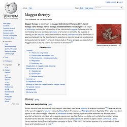 Maggot therapy