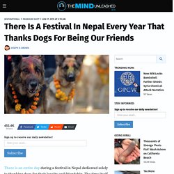 There Is A Festival In Nepal Every Year That Thanks Dogs For Being Our Friends