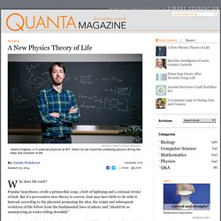 A New Thermodynamics Theory of the Origin of Life