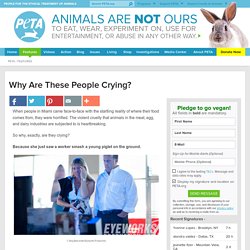 Why Are These People Crying?