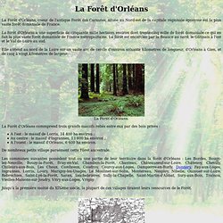 Theudericus : La Forêt d'Orléans.