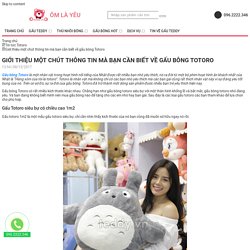 Giới thiệu một chút thông tin mà bạn cần biết về gấu bông Totoro