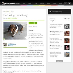 I am a dog, not a thing - National Dogs