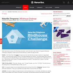 #Birdhouse Challenge