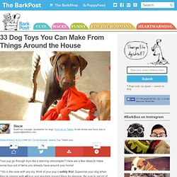 33 DIY Dog Toys from Things Around the House