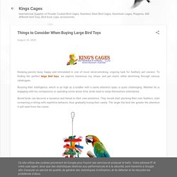 Things to Consider When Buying Large Bird Toys