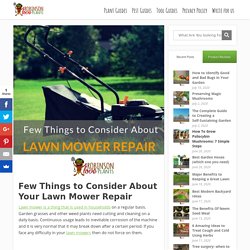 Few Things to Consider About Your Lawn Mower Repair - Robinson Love Plants!