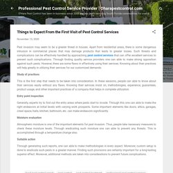 Things to Expect From the First Visit of Pest Control Services