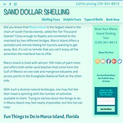 Fun Things to Do in Marco Island Florida