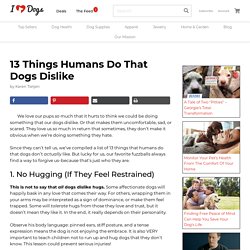 13 Things Humans Do That Dogs Dislike