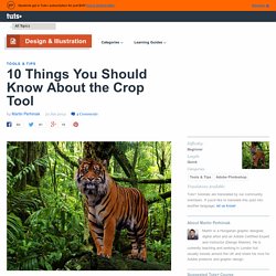 10 Things You Should Know About the Crop Tool