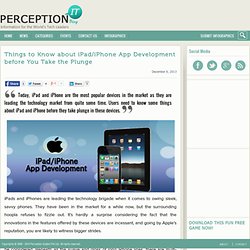 Things to Know about iPad/iPhone App Development before You Take the Plunge