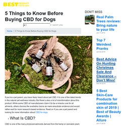 5 Things to Know Before Buying CBD for Dogs