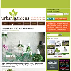 Things Looking Up for Your Urban Garden