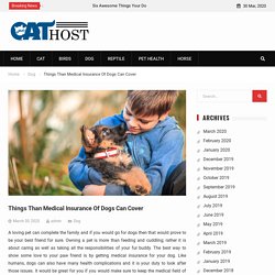 Things Than Medical Insurance Of Dogs Can Cover -