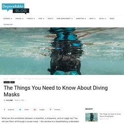The Things You Need to Know About Diving Masks