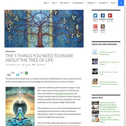 The 5 Things You Need to Know About the Tree of Life