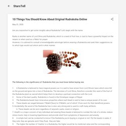 10 Things You Should Know About Original Rudraksha Online